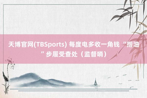 天博官网(TBSports) 每度电多收一角钱 “揩油”步履受查处（监督哨）