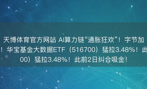 天博体育官方网站 AI算力链“通胀狂欢”！字节加多25%本钱开支！华宝基金大数据ETF（516700）猛拉3.48%！此前2日纠合吸金！