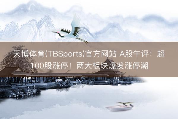 天博体育(TBSports)官方网站 A股午评：超100股涨停！两大板块爆发涨停潮
