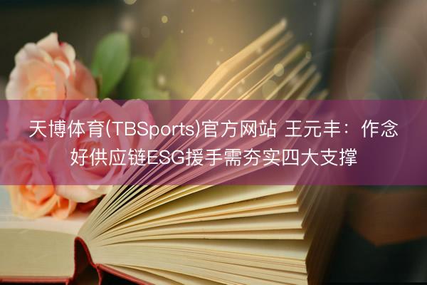天博体育(TBSports)官方网站 王元丰：作念好供应链ESG援手需夯实四大支撑