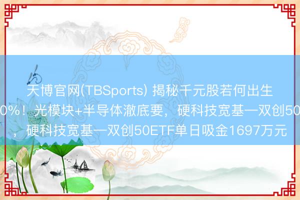 天博官网(TBSports) 揭秘千元股若何出生？中际旭创一年暴涨980%！光模块+半导体澈底要，硬科技宽基—双创50ETF单日吸金1697万元