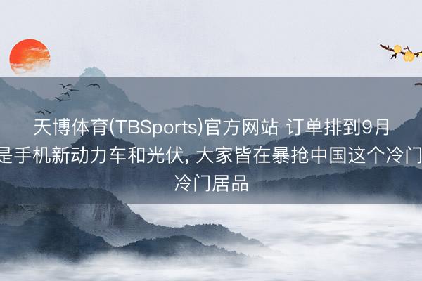 天博体育(TBSports)官方网站 订单排到9月! 不是手机新动力车和光伏， 大家皆在暴抢中国这个冷门居品