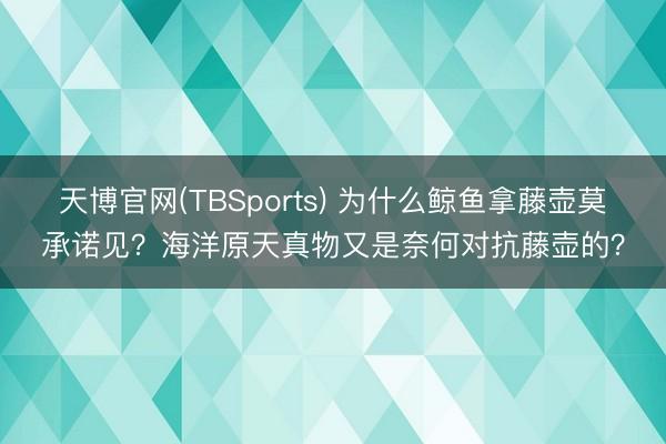 天博官网(TBSports) 为什么鲸鱼拿藤壶莫承诺见？海洋原天真物又是奈何对抗藤壶的？