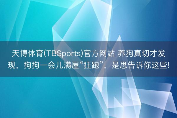 天博体育(TBSports)官方网站 养狗真切才发现，狗狗一会儿满屋“狂跑”，是思告诉你这些!