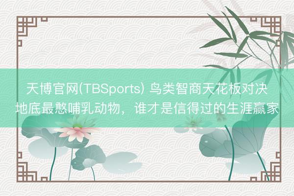 天博官网(TBSports) 鸟类智商天花板对决地底最憨哺乳动物，谁才是信得过的生涯赢家