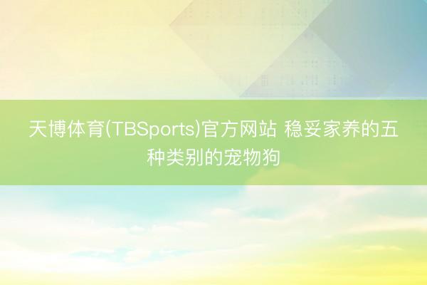天博体育(TBSports)官方网站 稳妥家养的五种类别的宠物狗