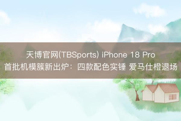 天博官网(TBSports) iPhone 18 Pro首批机模簇新出炉：四款配色实锤 爱马仕橙退场