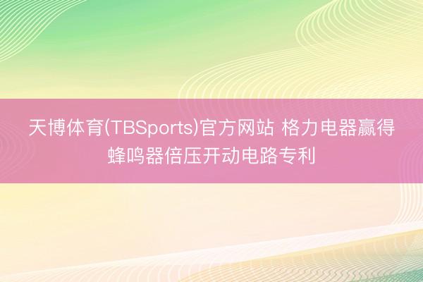天博体育(TBSports)官方网站 格力电器赢得蜂鸣器倍压开动电路专利