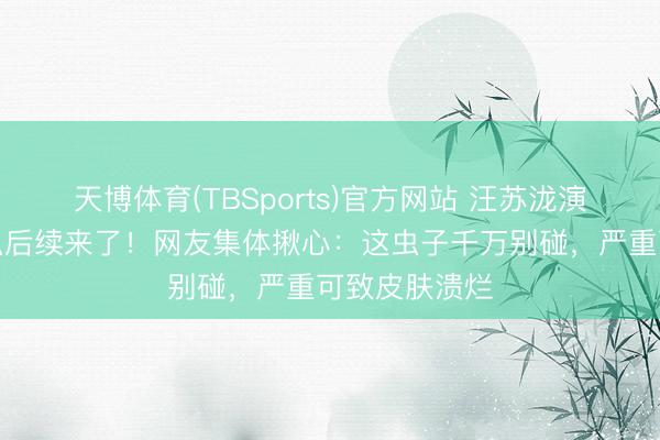 天博体育(TBSports)官方网站 汪苏泷演唱会徒手持虫后续来了！网友集体揪心：这虫子千万别碰，严重可致皮肤溃烂