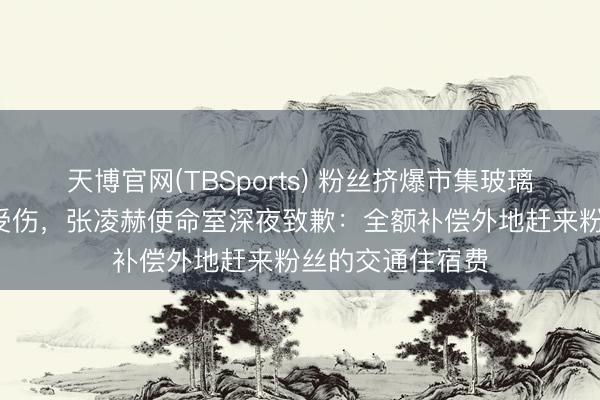 天博官网(TBSports) 粉丝挤爆市集玻璃门致5东说念主受伤，张凌赫使命室深夜致歉：全额补偿外地赶来粉丝的交通住宿费