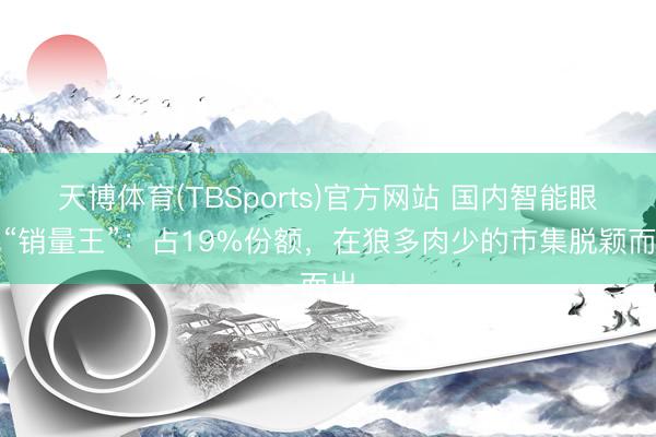 天博体育(TBSports)官方网站 国内智能眼镜“销量王”：占19%份额，在狼多肉少的市集脱颖而出