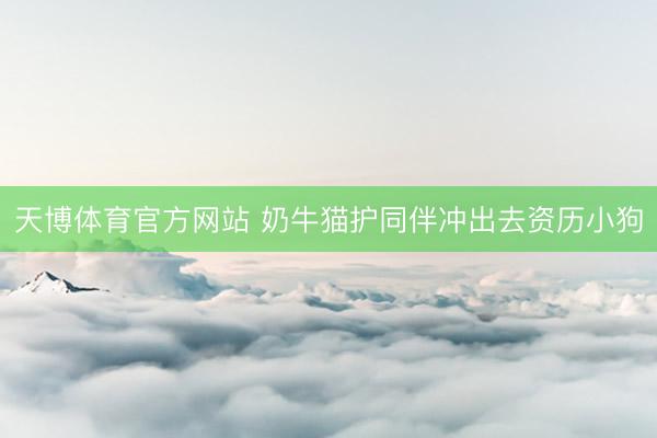 天博体育官方网站 奶牛猫护同伴冲出去资历小狗