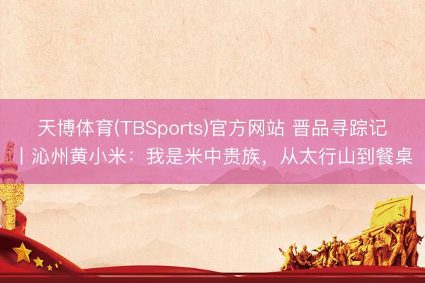 天博体育(TBSports)官方网站 晋品寻踪记丨沁州黄小米:我是米中贵族,从太行山到餐桌